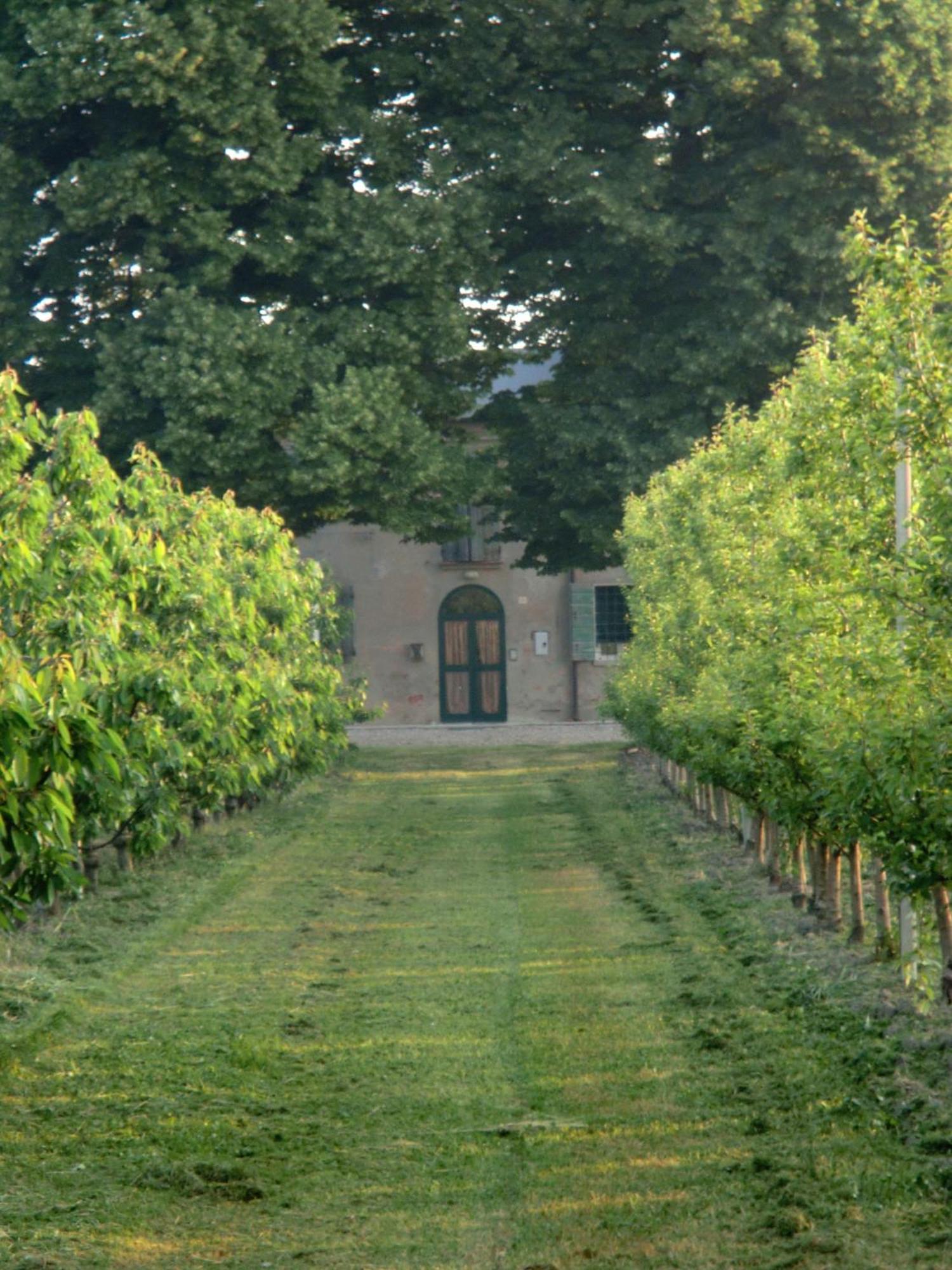 Agriturismo Alla Casella Ferrara Ngoại thất bức ảnh